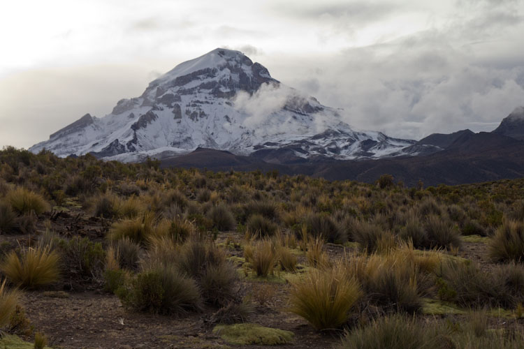 Bolivia: Sajama NP - view to the Sajama