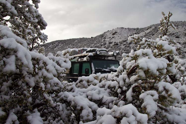 Bolivia: Sajama NP - find us :-)