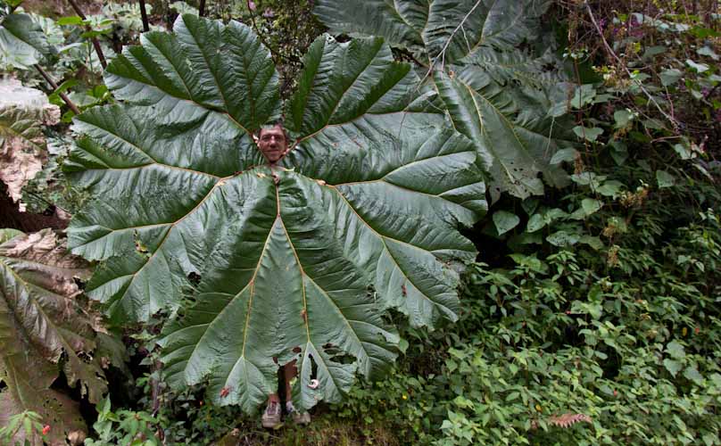 Costa Rica: Central Highlands - NP Turrialba: on the way