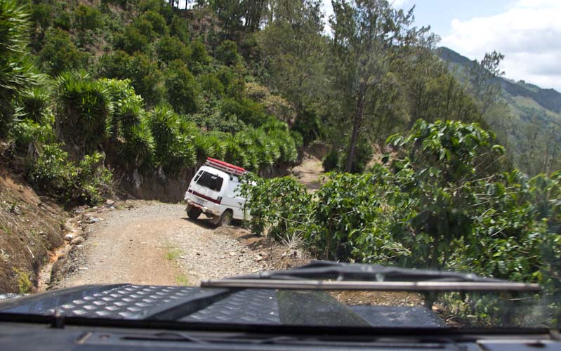 Costa Rica: Orosi Valley - Orosi: On a private Coffee Plantage