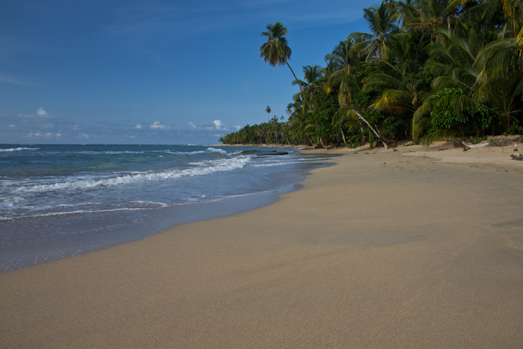 Costa Rica: Carribean Site - Punta Uva: pretty beach