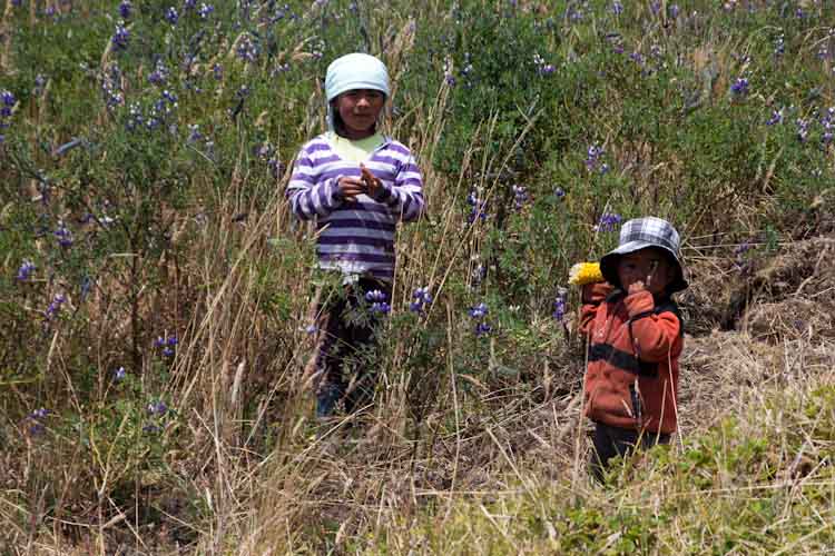 Ecuador: Ibarra - just being a kid