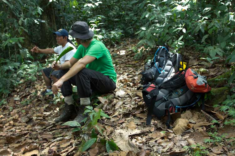 Ecuador: Mishualli - Jatun Sacha: break time