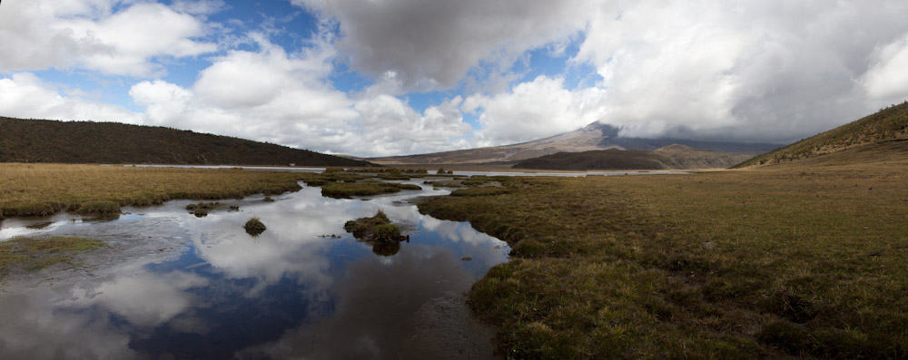 Ecuador: NP Cotopaxi - Laguna Limpiopungo