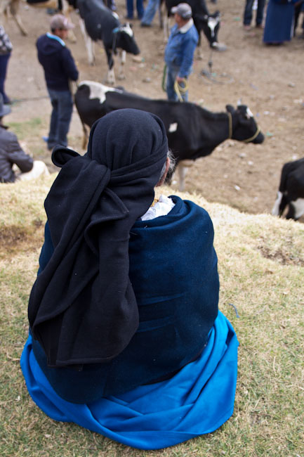 Ecuador: Otavalo - Saturday Animal market: time for a break