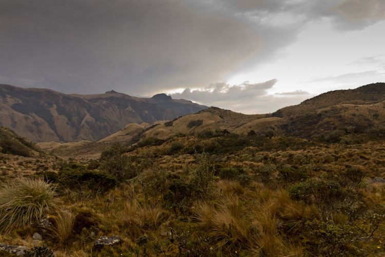 Ecuador: Pappallacta - Pass Road