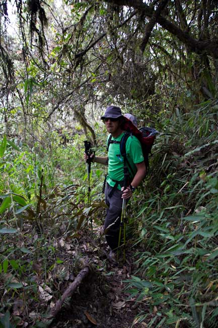 Ecuador: Pululahua Crater - on the way down