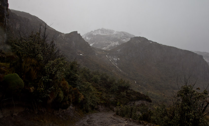 Ecuador: Reserva Cayambe - Cayambe