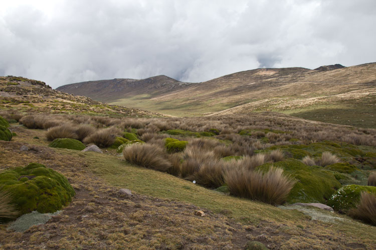 Ecuador: Salinas - high valley