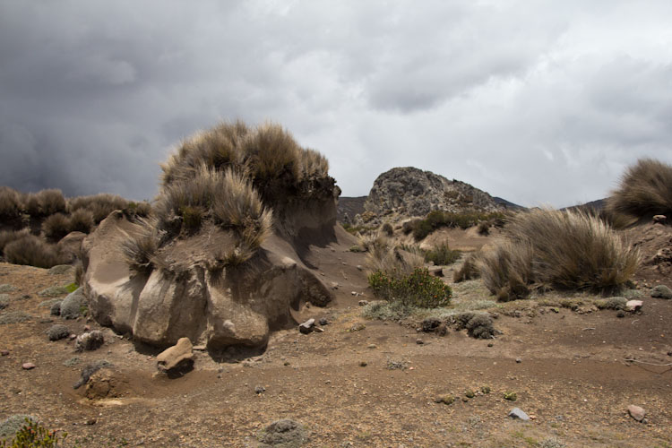 Ecuador: Salinas - Sand Structures