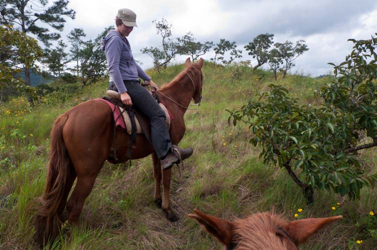 On the hill of the Finca