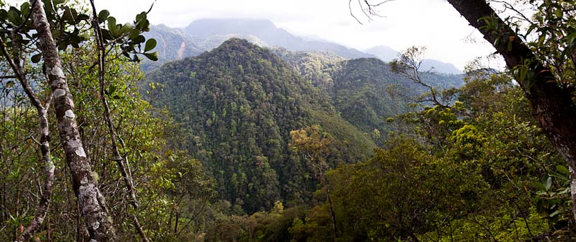 Another Mirador in the Crro Azul Meambar NP