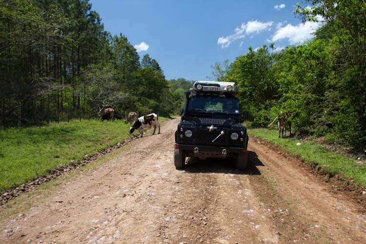 On the way to the Cerro Azul Meambar NP