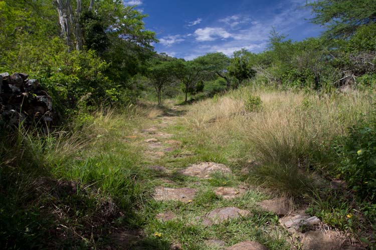 Colombia: Central Highlands - Barrichara: Camino Real to Guane