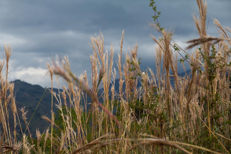 Colombia: Southern Region -Tierradentro: on the hike
