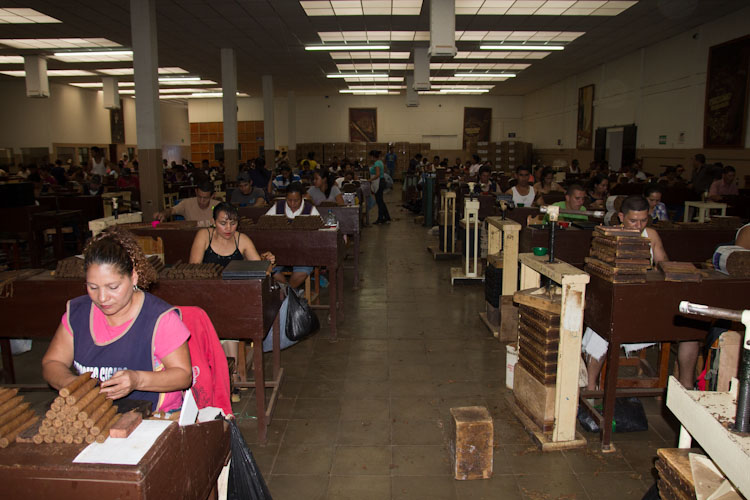 The Perdomo Factory