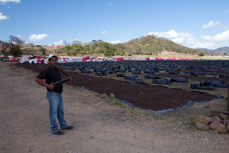 Matagalpa: coffee factory