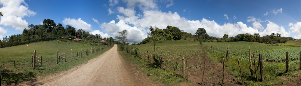 Finca Neblada del Bosque2