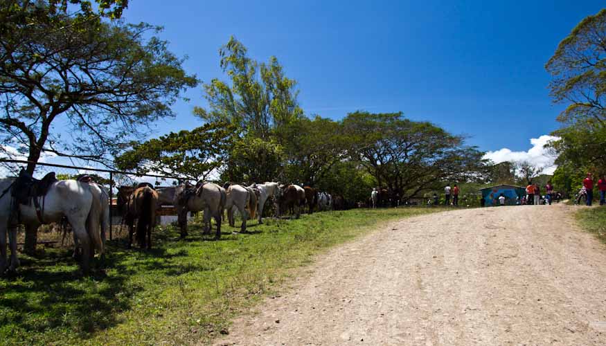 A school and the transportation