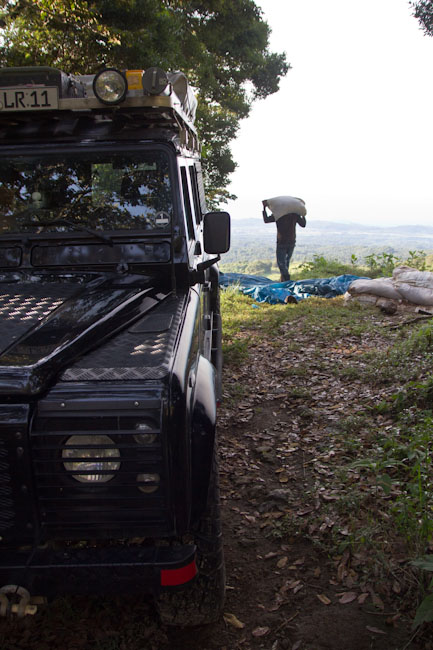 Panama: central mountains - Volcano Baru: Campsite