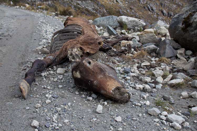 Peru: Cordillera Blanca - Pass Portuchuelo: too high???