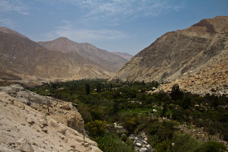 Peru: way back to the Coast - green valley