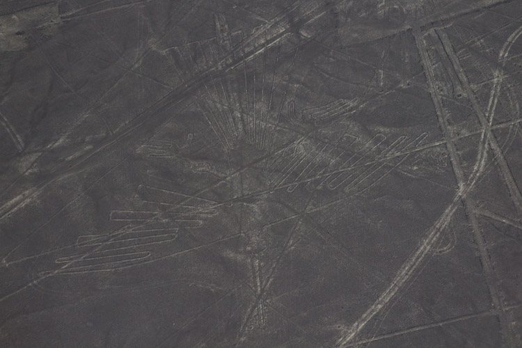 Peru: Nazca - Nazca Lines: Condor