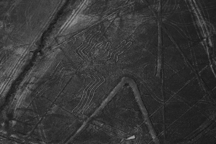 Peru: Nazca - Nazca Lines: Spider