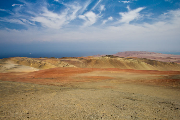 Peru: Reserva Paracas - Colourful World