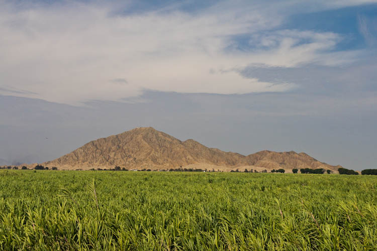 Peru: Coastal Desert close to Trujillo