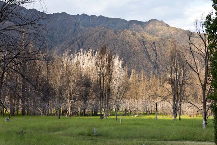 Argentina: close to Mendoza - dam lake