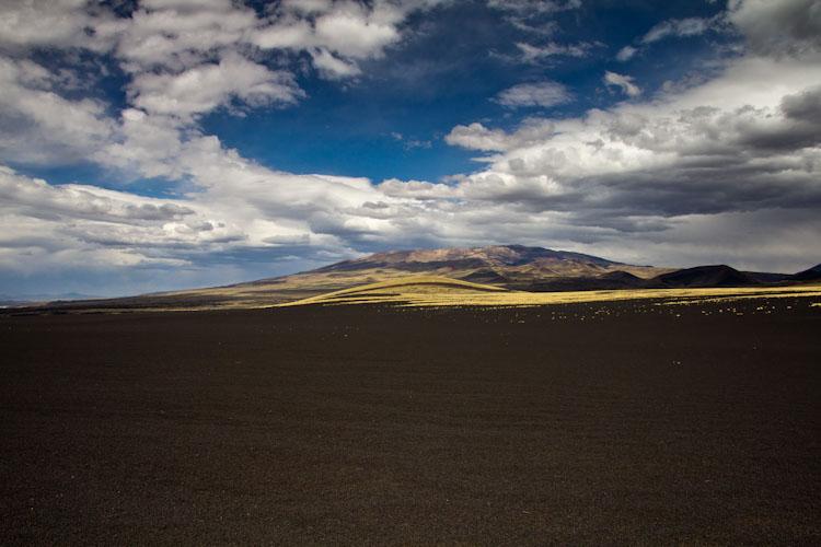 Argentina: Reserva Payen - Pampa Negra