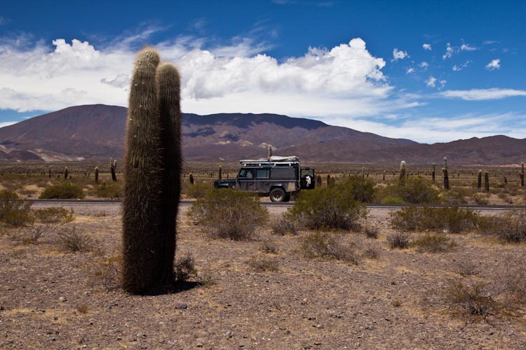 Argentina: Ruta 40 to Cafayate - Valle de los Cardonnes