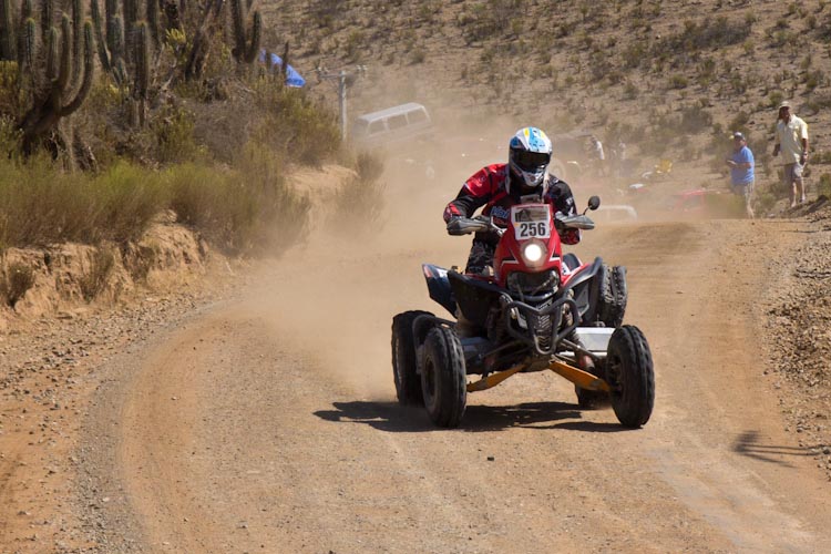 Chile: Canela Baja - DAKAR