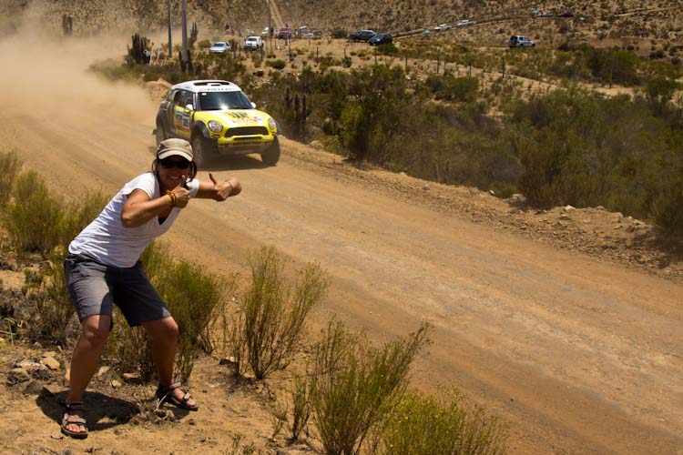 Chile: Canela Baja - DAKAR