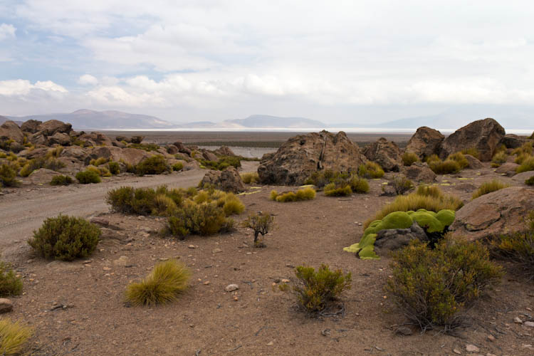 CChile: Isluga NP - Lava Rocks