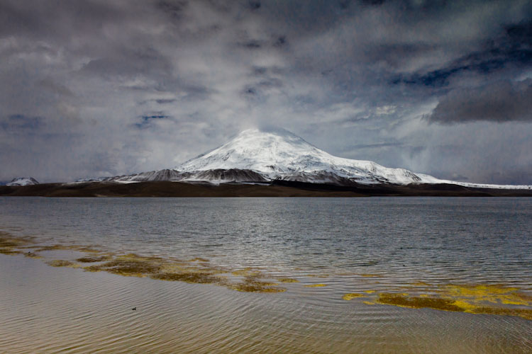 Chile: Lauca NP