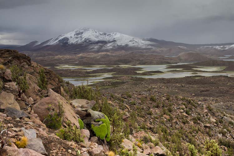 Chile: Lauca NP