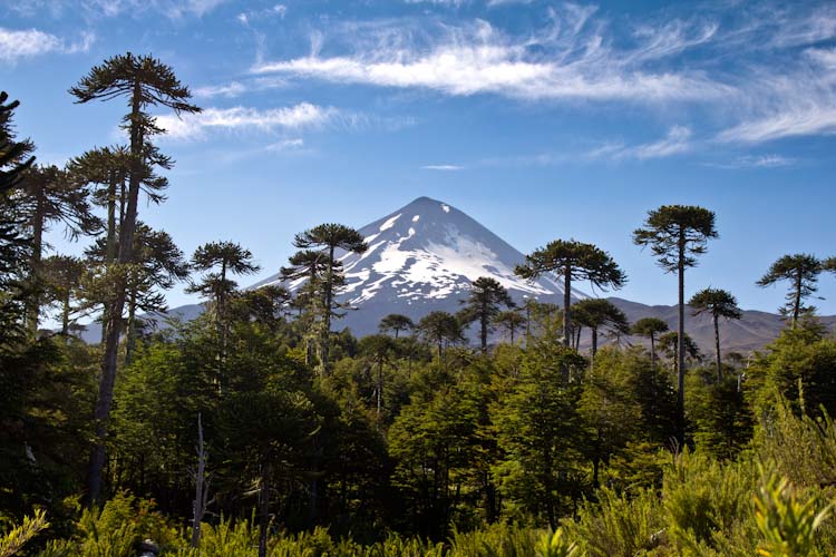 Chile: NP Conguillio - Volcano Llaime