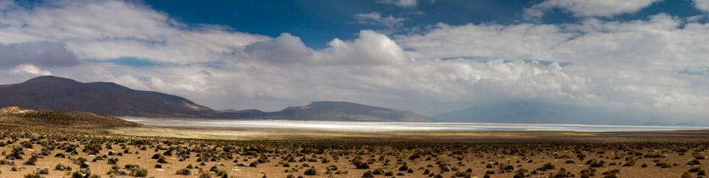 Chile: Salar de Surire