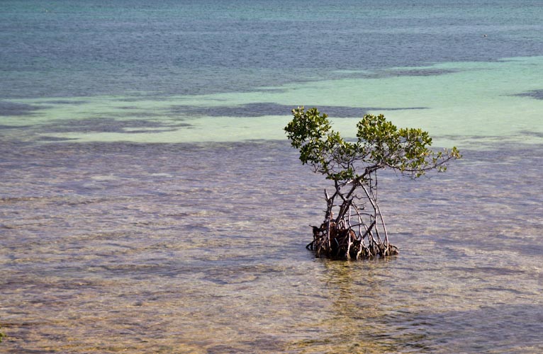 USA: Florida - Key West