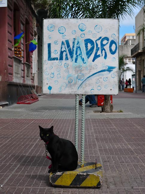 Uruguay: Montevideo - poor promotion cat