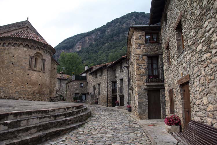 Beget