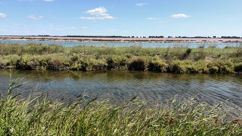 Frankreich: Camargue