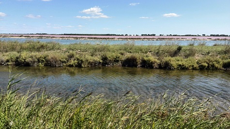 Frankreich: Camargue