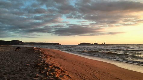 Traumhafter Strand von Mas Pinell