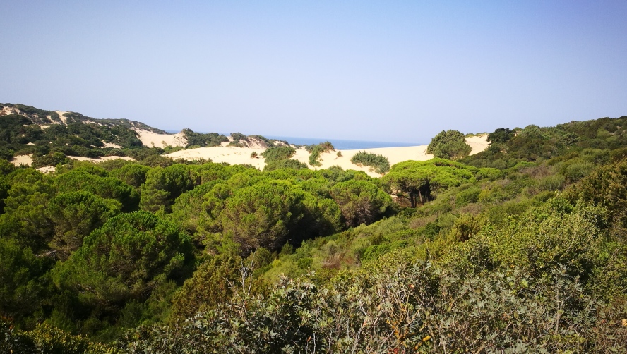 Die Dünen von Piscinas