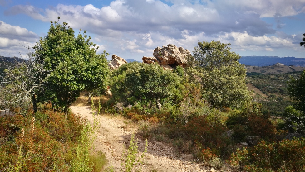 Am Monte Pulchiano