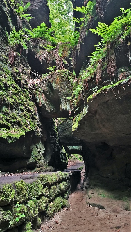 Sächsische Schweiz - Uttenwalder Grund