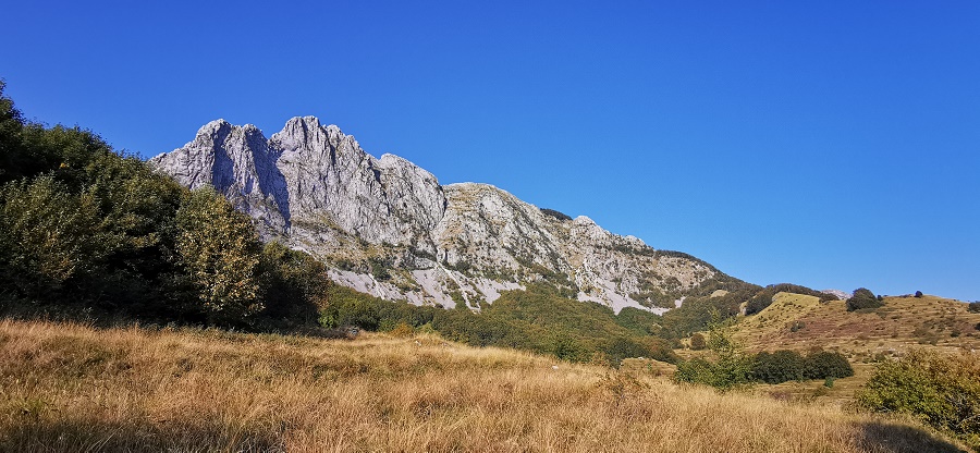 Campocatino